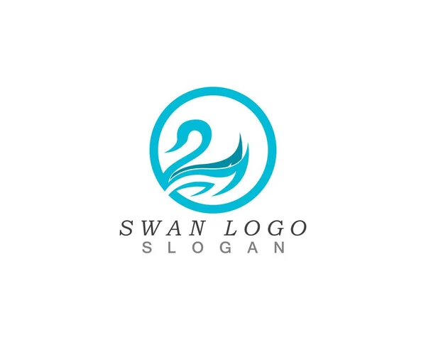 Swan Logo Modelo Vetor Ilustração Design —  Vetores de Stock
