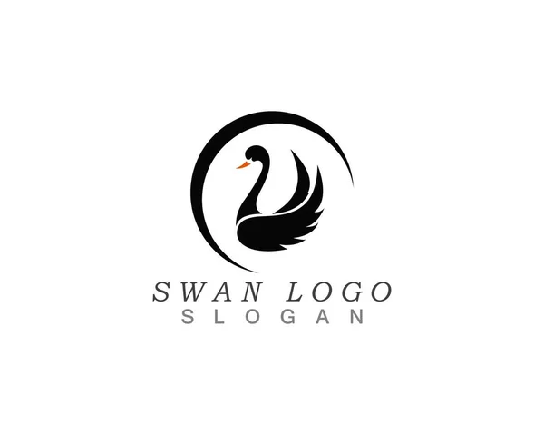 Schwan Logo Vorlage Vektor Illustration Design — Stockvektor