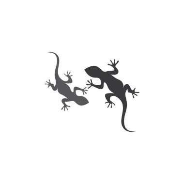 Kertenkele vektör simgesi logosu ve semboller şablonu - Vektör