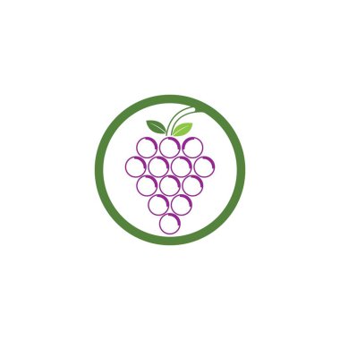 Üzüm logo şablonu vektör illüstrasyon tasarımı