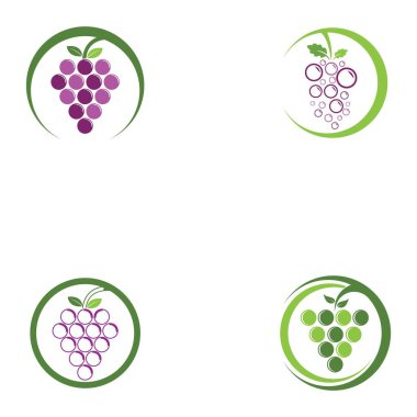 Üzüm logo şablonu vektör illüstrasyon tasarımı