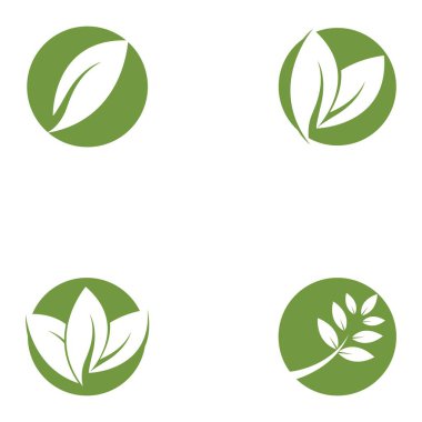 yeşil yaprak logo vektörü
