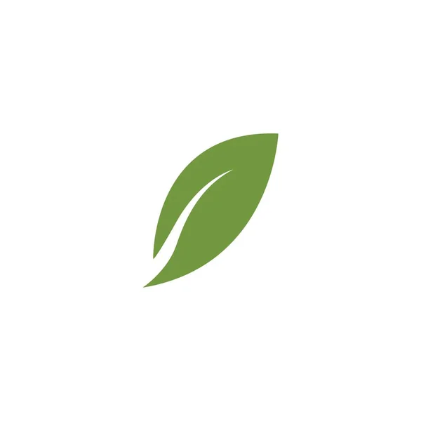 Vettore Logo Foglia Verde — Vettoriale Stock