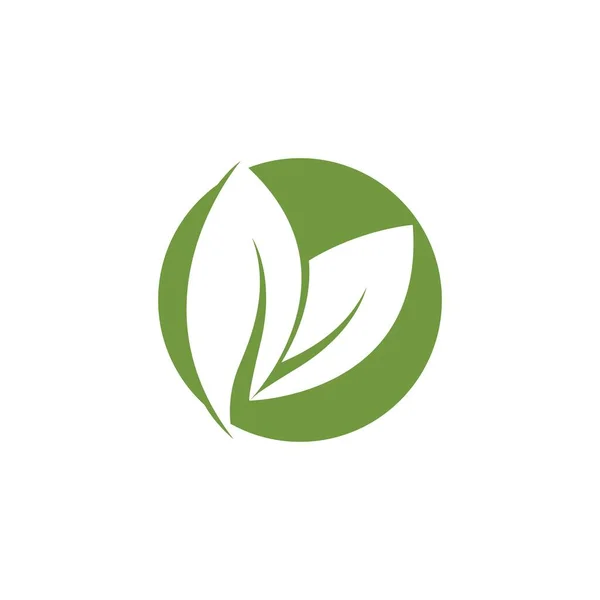 Vektor Loga Zeleného Listu — Stockový vektor
