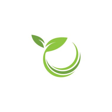 Yeşil yaprak logo şablonu Vektör simgesi
