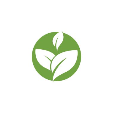 Yeşil yaprak logo şablonu Vektör simgesi