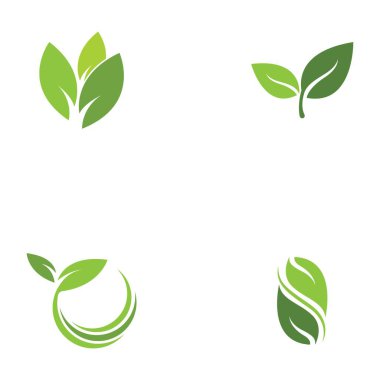 Yeşil yaprak logo şablonu Vektör simgesi