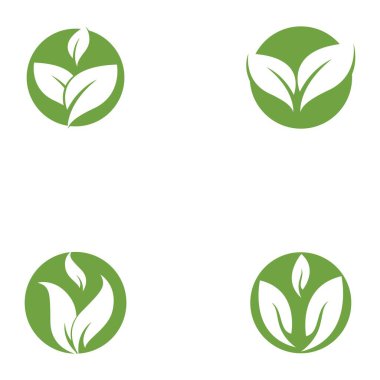 Yeşil yaprak logo şablonu Vektör simgesi