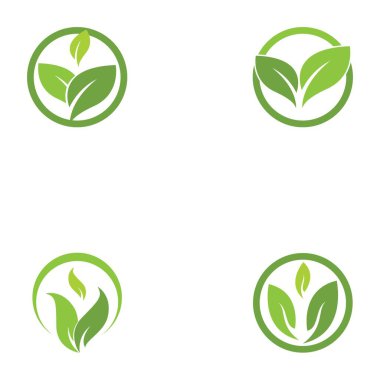 Yeşil yaprak logo şablonu Vektör simgesi