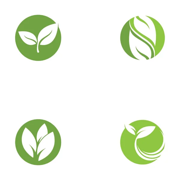 Vorlage Für Das Grüne Blatt Logo Vektor Symbol — Stockvektor