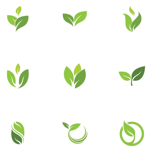 Plantilla Logo Hoja Verde Vector Icono — Vector de stock