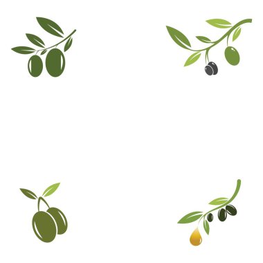 Zeytin logosu şablon vektör resimleme tasarımı