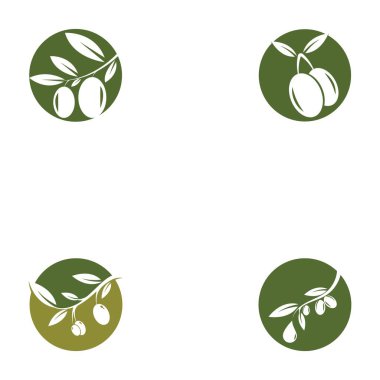 Zeytin logosu şablon vektör resimleme tasarımı