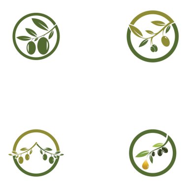 Zeytin logosu şablon vektör resimleme tasarımı