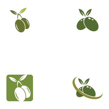 Zeytin logosu şablon vektör resimleme tasarımı