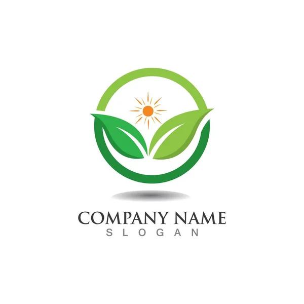 Árvore Folha Vetor Logotipo Design Conceito Eco Friendly — Vetor de Stock