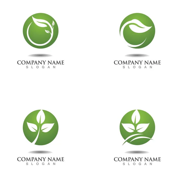 Árbol Hoja Vector Logo Diseño Ecológico Concepto — Vector de stock