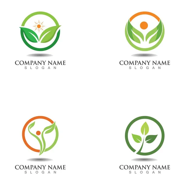 Baumblatt Vektor Logo Design Umweltfreundliches Konzept — Stockvektor