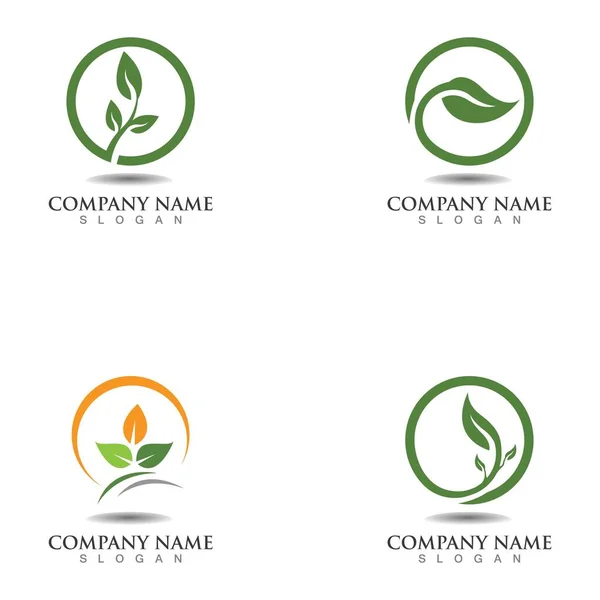 Árbol Hoja Vector Logo Diseño Ecológico Concepto — Vector de stock