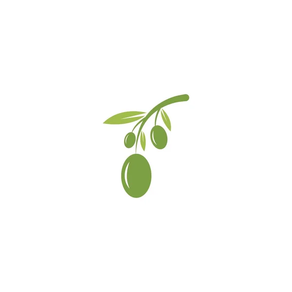 Olive Logo Modèle Vectoriel Icône Illustration Design — Image vectorielle