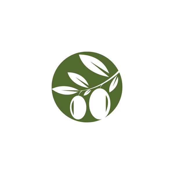 Zeytin Logosu Şablon Vektör Resimleme Tasarımı — Stok Vektör