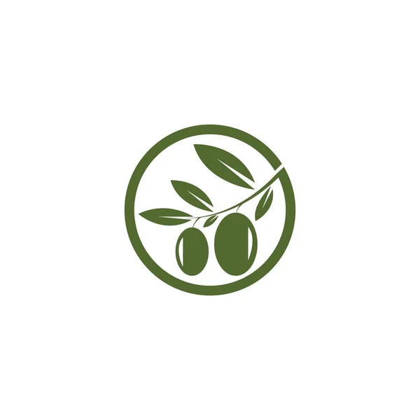 Zeytin logosu şablon vektör resimleme tasarımı
