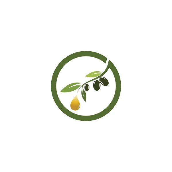 Olive Logo Vorlage Vektor Symbol Illustration Design — Stockvektor