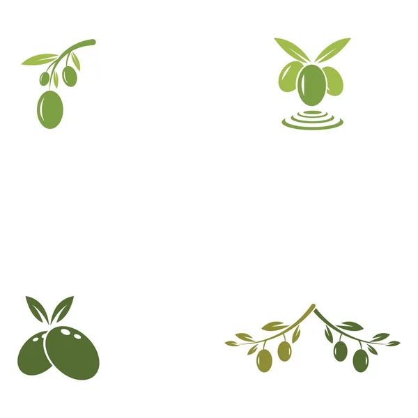 Olive Logo Plantilla Vector Icono Ilustración Diseño — Archivo Imágenes Vectoriales