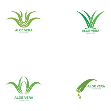 Set of Aloe vera logo vector illustration template