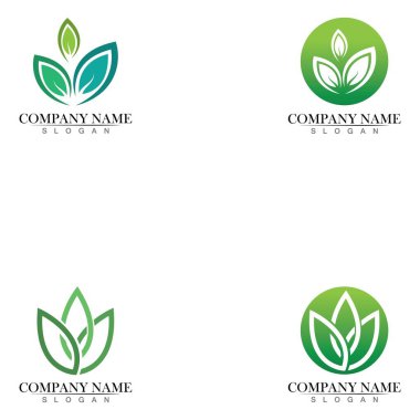 Ağaç yaprağı vektör logosu tasarımı, çevre dostu kavram