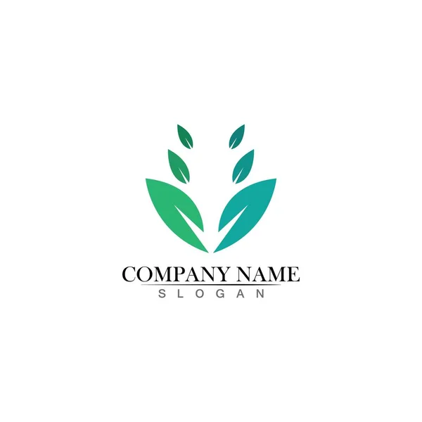 Tree Leaf Vector Logo Design Eco Friendly Concept — Stock Vector