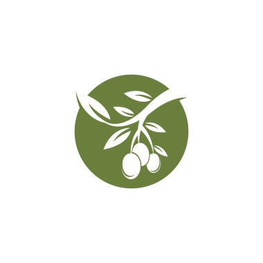 Zeytin logosu şablon vektör resimleme tasarımı