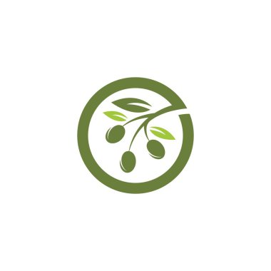 Zeytin logosu şablon vektör resimleme tasarımı