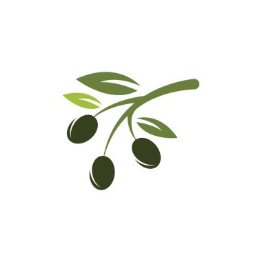 Zeytin logosu şablon vektör resimleme tasarımı