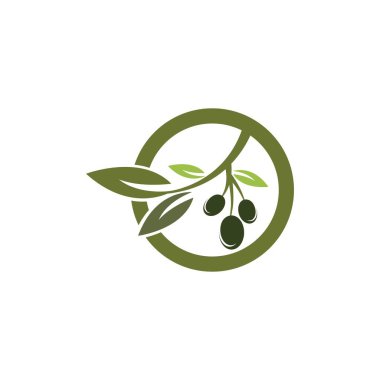 Zeytin logosu şablon vektör resimleme tasarımı