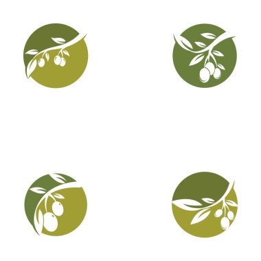 Zeytin logosu şablon vektör resimleme tasarımı