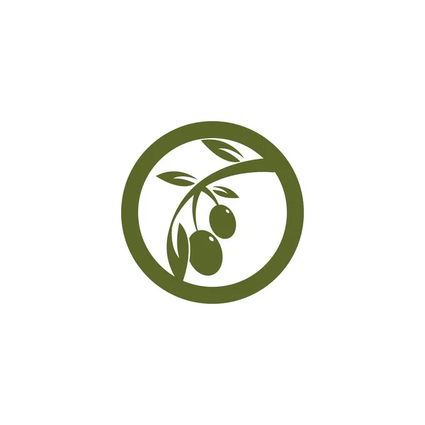 Оливковий Шаблон Логотипу Векторний Дизайн Ілюстрації — стоковий вектор