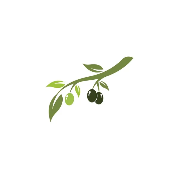Olive Logo Modèle Vectoriel Icône Illustration Design — Image vectorielle