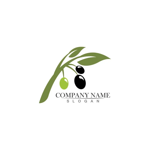 Olive Logo Plantilla Vector Icono Ilustración Diseño — Vector de stock