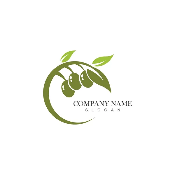 Olive Logo Modèle Vectoriel Icône Illustration Design — Image vectorielle