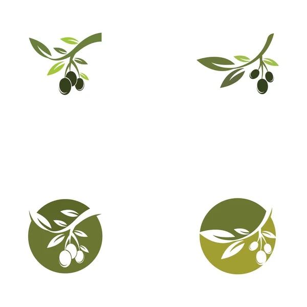 Olive Logo Plantilla Vector Icono Ilustración Diseño — Archivo Imágenes Vectoriales