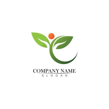 Ağaç yaprağı vektör logosu tasarımı çevre dostu kavram