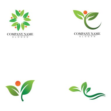 Ağaç yaprağı vektör logosu tasarımı çevre dostu kavram