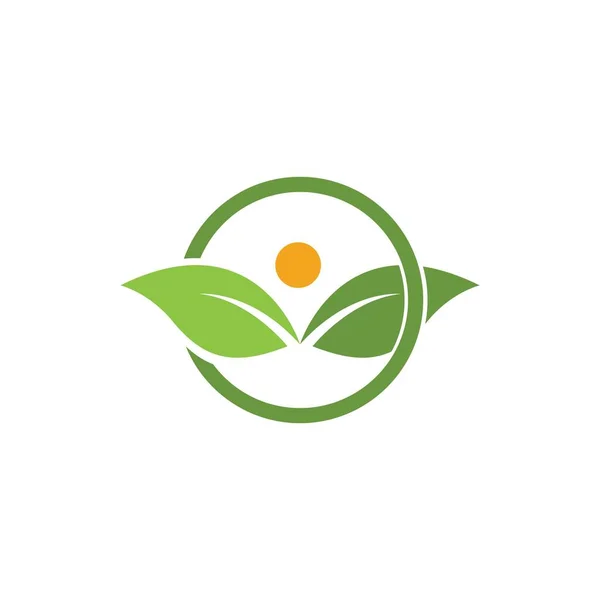 Diseño Del Logotipo Tres Hojas Plantilla Logotipo Ecológico Hoja Verde — Vector de stock