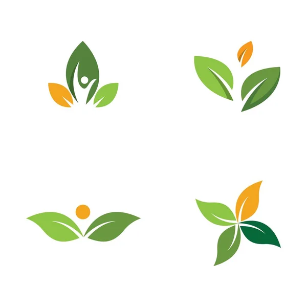 Logo Trois Feuilles Design Modèle Logo Vert Feuille Éco Vecteur — Image vectorielle