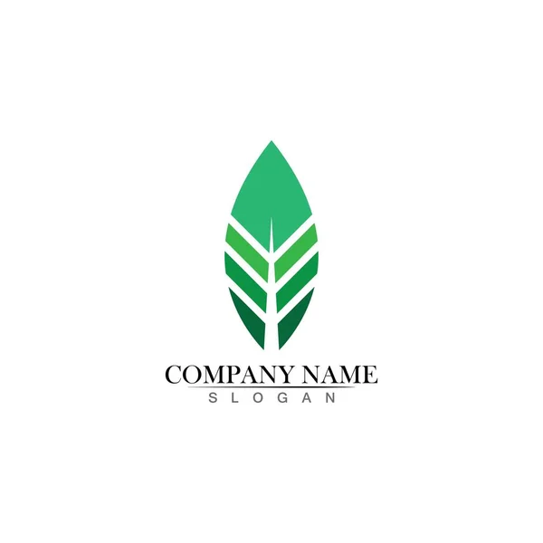 Tree Leaf Vector Logo Design Eco Friendly Concept — Stock Vector