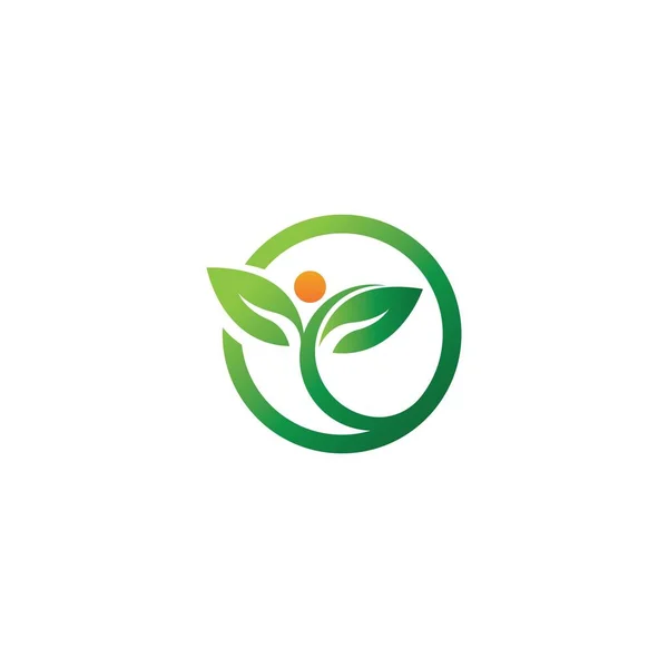 Feuille Arbre Vecteur Logo Conception Eco Friendly Concept — Image vectorielle