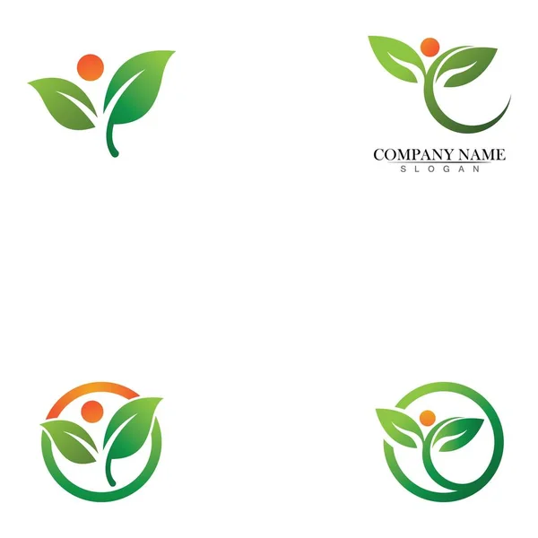 Baumblatt Vektor Logo Design Umweltfreundliches Konzept — Stockvektor