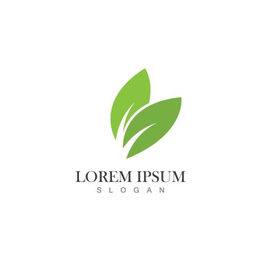  Doğa Yaprak simgesi logo şablonu