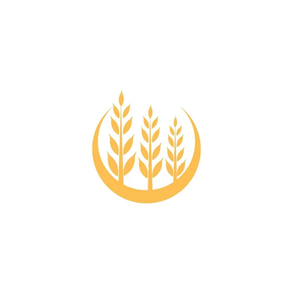 Agricultura Trigo Logo Plantilla Icono Diseño — Vector de stock